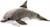 DELFINO MEDIO NATIONAL GEOGRAPHIC