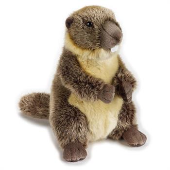MARMOTTA MEDIA CM 25