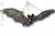 PIPISTRELLO DA APPENDERE