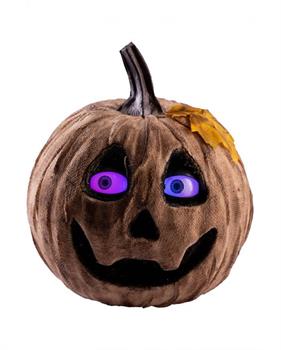 ZUCCA CON JUTA E OCCHI IN MOVIMENTO