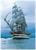 500 PZ AMERIGO VESPUCCI
