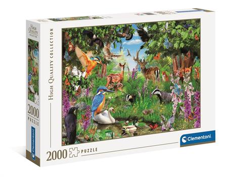 2000 PZ FANTASTIC FOREST