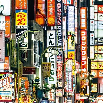250 PZ FRAME UP TOKYO LIGHTS