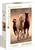 1000 PZ RUNNING HORSES