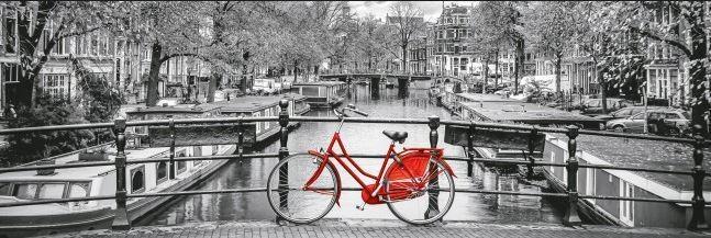 1000 PZ AMSTERDAM IN BICI
