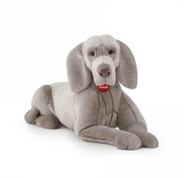 CANE WEIMARANER WOLFGANG 63 CM