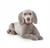 CANE WEIMARANER WOLFGANG 63 CM