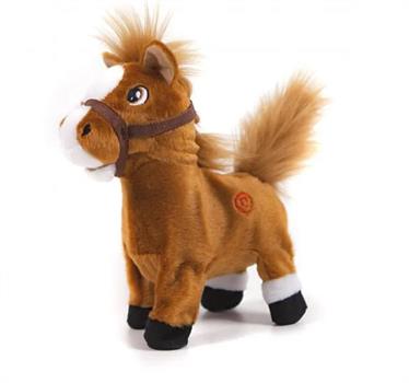 CAVALLO CIOLLO CON VERSO E MOVIMENTO