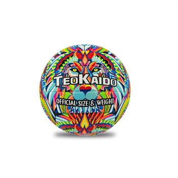 PALLONE VOLLEY LEONE TG S