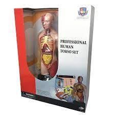 KIT TORSO UMANO CON MANUALE