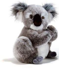 PLUSH KOALA CM 22