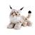 VASAKY LINCE DELLE NEVI 40CM