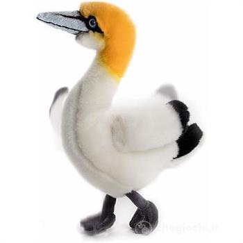 UCCELLO MARINO MORUS 23CM