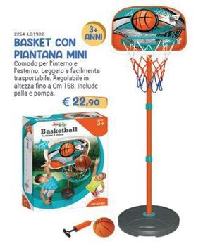 BASKET CON PIANTANA MINI