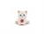 PUPPY GATTO