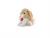 PUPPY CONIGLIO