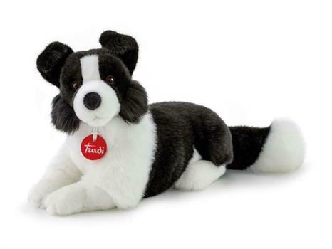 CANE BORDER COLLIE SCOTT TAGLIA M