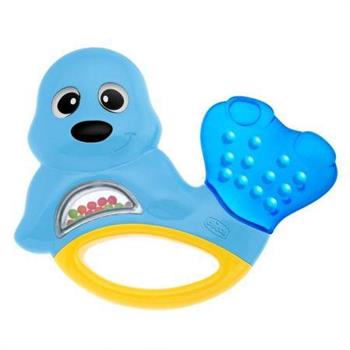 FOCA MASSAGGIA GENGIVE
