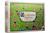 GIOCO CARCASSONNE - BIG BOX 2022