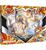 POKEMON COLLEZIONE INFERNAPE V