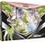 POKEMON COLLEZIONE VIRIZION