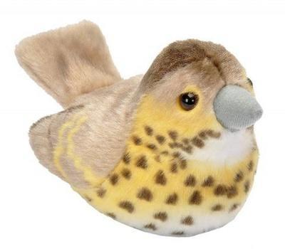 UCCELLINO CANORO