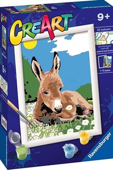 CREART- ASINELLO