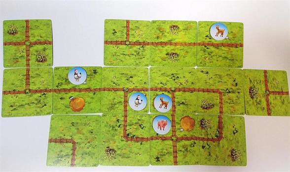 GIOCO FARMINI