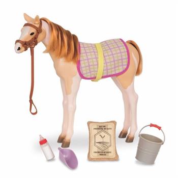 CAVALLO MUSTANG FOAL