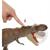 JURASSIC WORLD T-REX MORSO ESTREMO