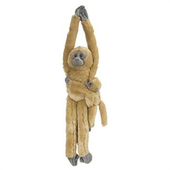 SCIMMIA LANGUR CON CUCCIOLO