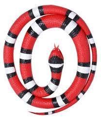 WILD REPUBLIC SERPENTE ROSSO DI GOMMA