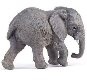 GIOVANE ELEFANTE AFRICANO