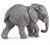 GIOVANE ELEFANTE AFRICANO
