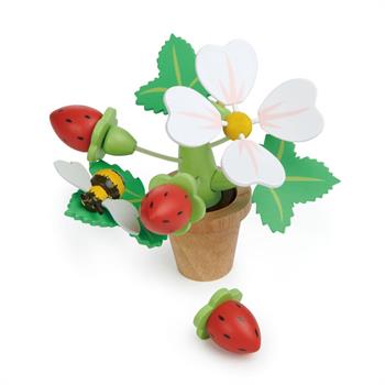VASO CON FIORI E FRAGOLE