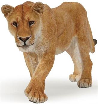 LEONESSA
