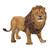 LEONE