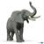 ELEFANTE CHE BARRISCE