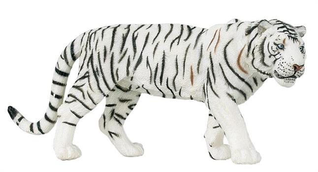 TIGRE SIBERIANA