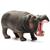 IPPOPOTAMO