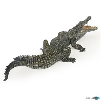 COCCODRILLO DEL NILO