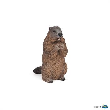 MARMOTTA