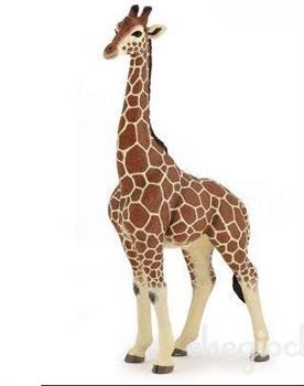GIRAFFA MASCHIO