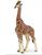 GIRAFFA MASCHIO