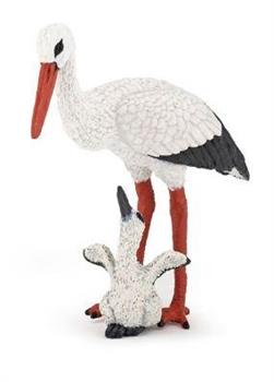 CICOGNA