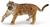 TIGRE CHE RUGGISCE