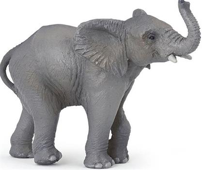 CUCCIOLO DI ELEFANTE