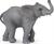 CUCCIOLO DI ELEFANTE