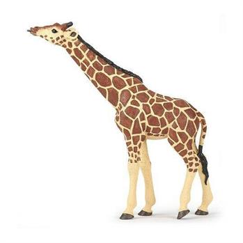GIRAFFA CON TESTA ALZATA