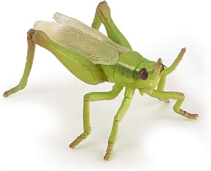 CAVALLETTA